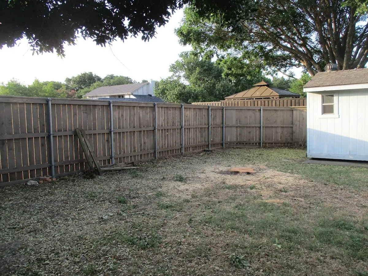 Cleared yard after professional tree removal in Orlando